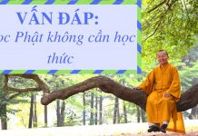 Vấn đáp: Học Phật không cần học thức – Thích Nhật Từ van dap hoc phat khong can hoc t