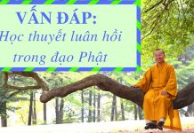 Vấn đáp: Học thuyết nhân quả luân hồi của Phật giáo – Thích Nhật Từ van dap hoc thuyet nhan qua luan