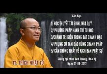 Vấn Đáp: Học Thuyết Tái Sinh, Ngạ Quỷ – Thích Nhật Từ van dap hoc thuyet tai sinh nga