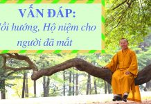 Vấn đáp: Hồi hướng, hộ niệm cho người đã mất – Thích Nhật Từ van dap hoi huong ho niem cho ng
