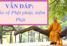 Vấn đáp: Hướng dẫn bảo vệ Phật pháp, niệm Phật – Thích Nhật Từ van dap huong dan bao ve phat ph