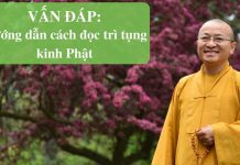 Vấn đáp: Hướng dẫn cách đọc, trì, tụng kinh – Thích Nhật Từ van dap huong dan cach doc tri t