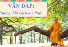 Vấn đáp: Hướng dẫn cách lạy Phật – Thích Nhật Từ van dap huong dan cach lay phat