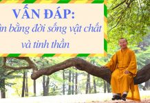 Vấn đáp: Hướng dẫn cân bằng đời sống vật chất và tinh thần – Thích Nhật Từ van dap huong dan can bang doi s