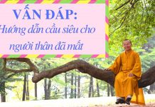 Vấn đáp: Hướng dẫn cầu siêu cho người thân đã mất – Thích Nhật Từ van dap huong dan cau sieu cho n
