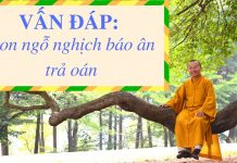 Vấn đáp: Hướng dẫn dạy con ngỗ nghịch, báo ân trả oán – Thích Nhật Từ van dap huong dan day con ngo ng