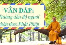 Vấn đáp: Hướng dẫn độ người thân theo Phật Pháp – Thích Nhật Từ van dap huong dan do nguoi than