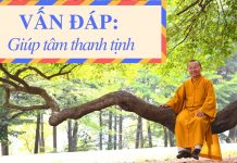 Vấn đáp: Hướng dẫn giúp tâm thanh tịnh – Thích Nhật Từ van dap huong dan giup tam thanh