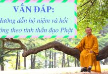 Vấn đáp: Hướng dẫn hộ niệm và hồi hướng theo tinh thần đạo Phật – Thích Nhật Từ van dap huong dan ho niem va hoi