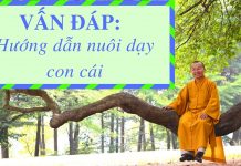 Vấn đáp: Hướng dẫn nuôi dạy con cái – Thích Nhật Từ van dap huong dan nuoi day con c