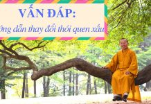 Vấn đáp: Hướng dẫn thay đổi thói quen – Thích Nhật Từ van dap huong dan thay doi thoi
