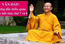 Vấn đáp: Hướng dẫn thiền quán nhận biết thức thứ 7 và 8 – Thích Nhật Từ van dap huong dan thien quan nha
