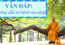 Vấn đáp: Hướng dẫn trị bệnh ma nhập – Thích Nhật Từ van dap huong dan tri benh ma nh