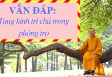 Vấn đáp: Hướng dẫn tụng kinh trì chú trong phòng trọ – Thích Nhật Từ van dap huong dan tung kinh tri 1
