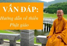 Vấn đáp: Hướng dẫn về thiền Phật giáo – Thích Nhật Từ van dap huong dan ve thien phat