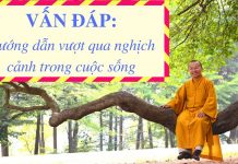 Vấn đáp: Hướng dẫn vượt qua nghịch cảnh trong cuộc sống – Thích Nhật Từ van dap huong dan vuot qua nghic
