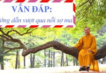 Vấn đáp: Hướng dẫn vượt qua nỗi sợ ma – Thích Nhật Từ van dap huong dan vuot qua noi s