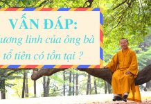 Vấn đáp: Hương linh của ông bà tổ tiên có tồn tại ? – Thích Nhật Từ van dap huong linh cua ong ba to