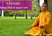 Vấn đáp: Hương linh và ngoại cảm – Thích Nhật Từ van dap huong linh va ngoai cam