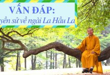 Vấn đáp: Huyền sử về ngài La Hầu La – Thích Nhật Từ van dap huyen su ve ngai la hau