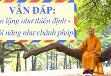 Vấn đáp: Im lặng như thiền định – Nói năng như chánh pháp – Thích Nhật Từ van dap im lang nhu thien dinh n