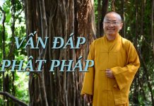 Vấn đáp: Khái niệm cõi Tây Phương và 33 cõi trời – Thích Nhật Từ van dap khai niem coi tay phuong