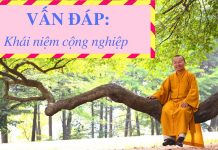 Vấn đáp: Khái niệm cộng nghiệp, ngày tận thế – Thích Nhật Từ van dap khai niem cong nghiep ng