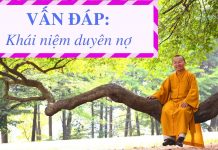 Vấn đáp: Khái niệm duyên nợ – Thích Nhật Từ van dap khai niem duyen no thich