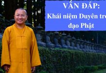 Vấn đáp: Khái niệm Duyên trong đạo Phật – Thích Nhật Từ van dap khai niem duyen trong da