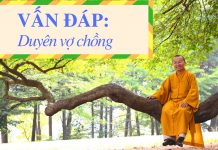 Vấn đáp: Khái niệm duyên vợ chồng – Thích Nhật Từ van dap khai niem duyen vo chong