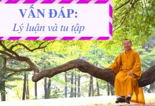 Vấn đáp: Khái niệm lý luận và tu tập – Thích Nhật Từ van dap khai niem ly luan va tu