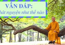 Vấn đáp: Khái niệm “phát nguyện” – Thích Nhật Từ van dap khai niem phat nguyen th