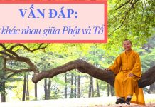 Vấn đáp: Khái niệm “Phật” và “Tổ” – Thích Nhật Từ van dap khai niem phat va to thi