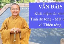 Vấn đáp: Khái niệm tái sinh, Tịnh độ tông – Mật tông và Thiền tông – Thích Nhật Từ van dap khai niem tai sinh tinh