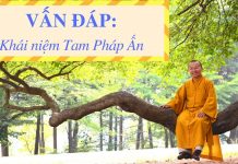 Vấn đáp: Khái niệm Tam Pháp Ấn – Thích Nhật Từ van dap khai niem tam phap an th