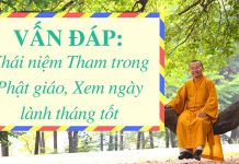Vấn đáp: Khái niệm Tham trong Phật giáo, Xem ngày lành tháng tốt – Thích Nhật Từ van dap khai niem tham trong pha