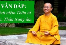 Vấn đáp: Khái niệm Thân tứ đại, Thân trung ấm – Thích Nhật Từ van dap khai niem than tu dai th