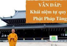 Vấn đáp: Khái niêm tự quy y Phật Pháp Tăng – Thích Nhật Từ van dap khai niem tu quy y phat