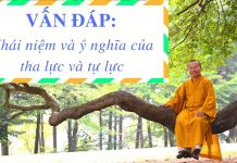 Vấn đáp: Khái niệm và ý nghĩa của tha lực và tự lực – Thích Nhật Từ van dap khai niem va y nghia cua