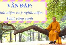 Vấn đáp: Khái niệm và ý nghĩa niệm Phật vãng sanh – Thích Nhật Từ van dap khai niem va y nghia nie