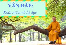 Vấn đáp: Khái niệm về Ái dục – Thích Nhật Từ van dap khai niem ve ai duc thic