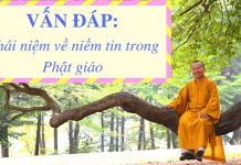 Vấn đáp: Khái niệm về niềm tin trong Phật giáo – Thích Nhật Từ van dap khai niem ve niem tin tr