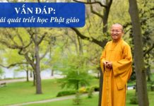 Vấn đáp: Khái quát triết học Phật giáo – Thích Nhật Từ van dap khai quat triet hoc phat