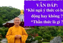 Vấn đáp: Khi ngủ ý thức có hoạt động hay không ? thần thức là gì ? – Thích Nhật Từ van dap khi ngu y thuc co hoat d