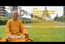 Vấn Đáp: Khó Hiểu Khi Tụng Kinh Hán Việt – Thích Nhật Từ van dap kho hieu khi tung kinh h