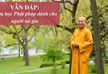 Vấn đáp: Khóa học Phật pháp dành cho người tại gia – Thích Nhật Từ van dap khoa hoc phat phap danh