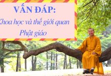 Vấn đáp: Khoa học và thế giới quan Phật giáo – Thích Nhật Từ van dap khoa hoc va the gioi qua