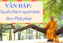 Vấn đáp: Khuyến khích người thân theo Phật pháp – Thích Nhật Từ van dap khuyen khich nguoi than 1