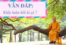 Vấn đáp: Kiếp luân hồi – Thích Nhật Từ van dap kiep luan hoi thich nhat