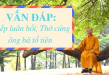 Vấn đáp: Kiếp luân hồi, Thờ cúng ông bà tổ tiên – Thích Nhật Từ van dap kiep luan hoi tho cung o